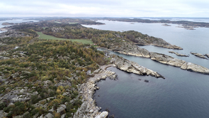 Bilde av 